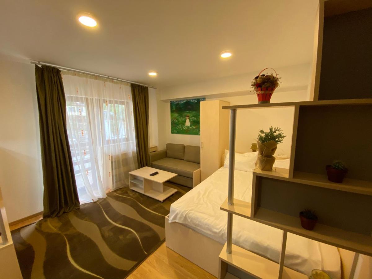Sinaia Chic Minisuite Mirage-Self Check-In&Free Parking Екстериор снимка