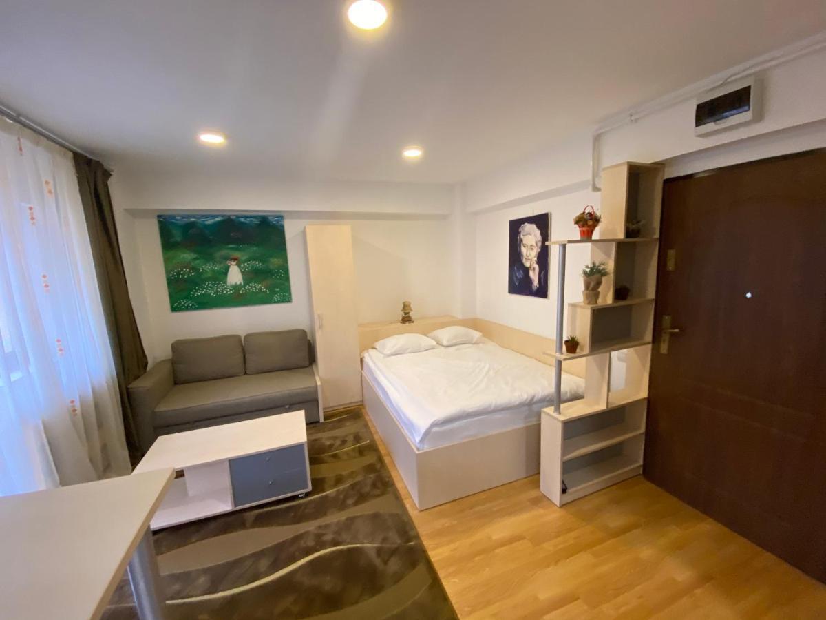 Sinaia Chic Minisuite Mirage-Self Check-In&Free Parking Екстериор снимка
